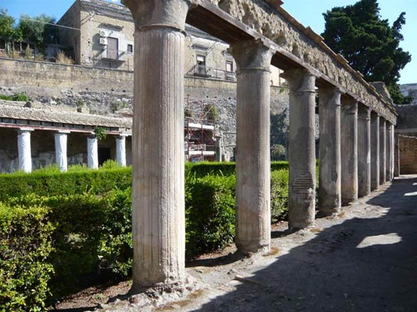 Herculaneum Insula II